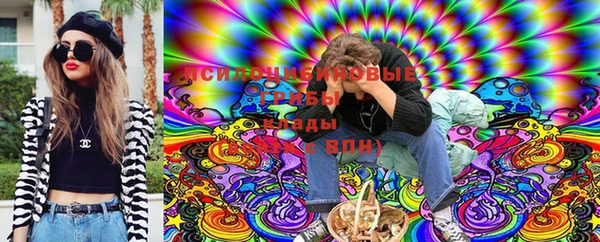 эйфоретик Белокуриха