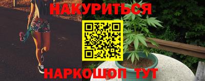 стафф Брянск