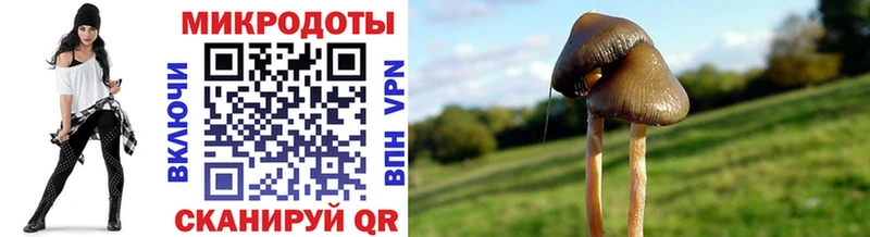 Псилоцибиновые грибы прущие грибы  Бузулук 