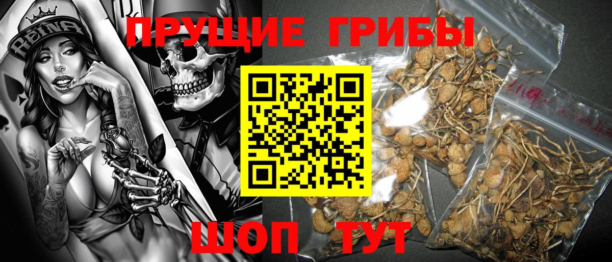 Галлюциногенные грибы мицелий Бузулук